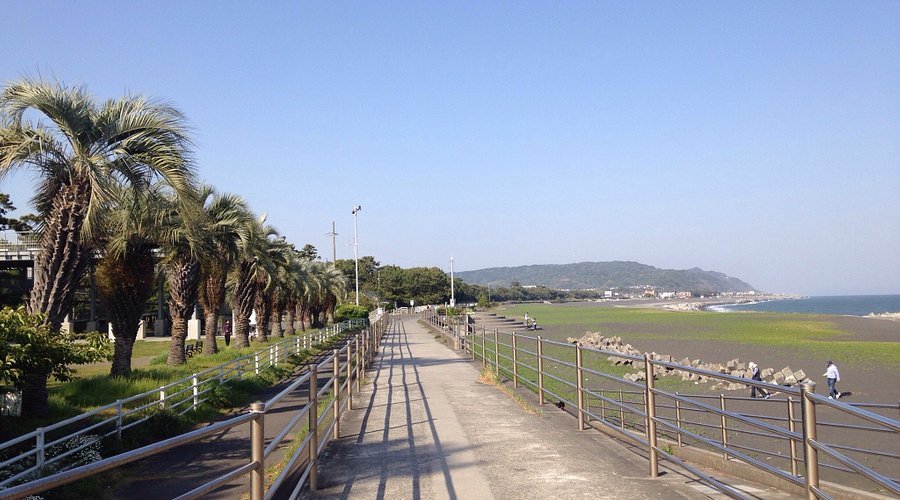 🏖️ 오하마 해변공원(오하마카이힌코엔) 이미지 5